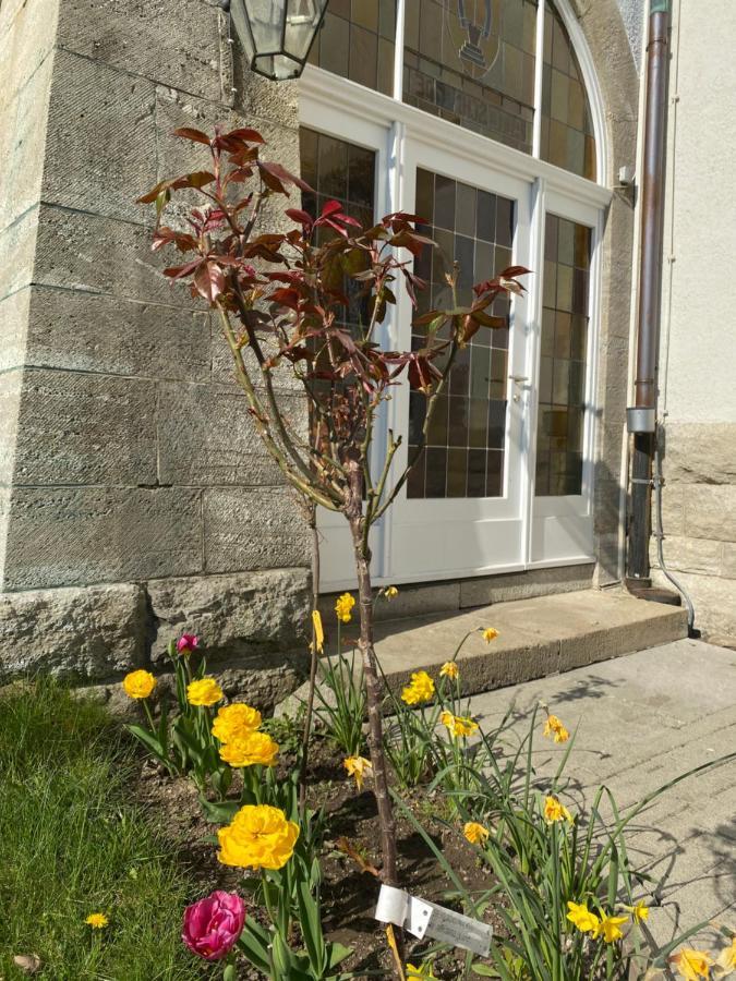 Parkhotel Bad Harzburg Exterior photo