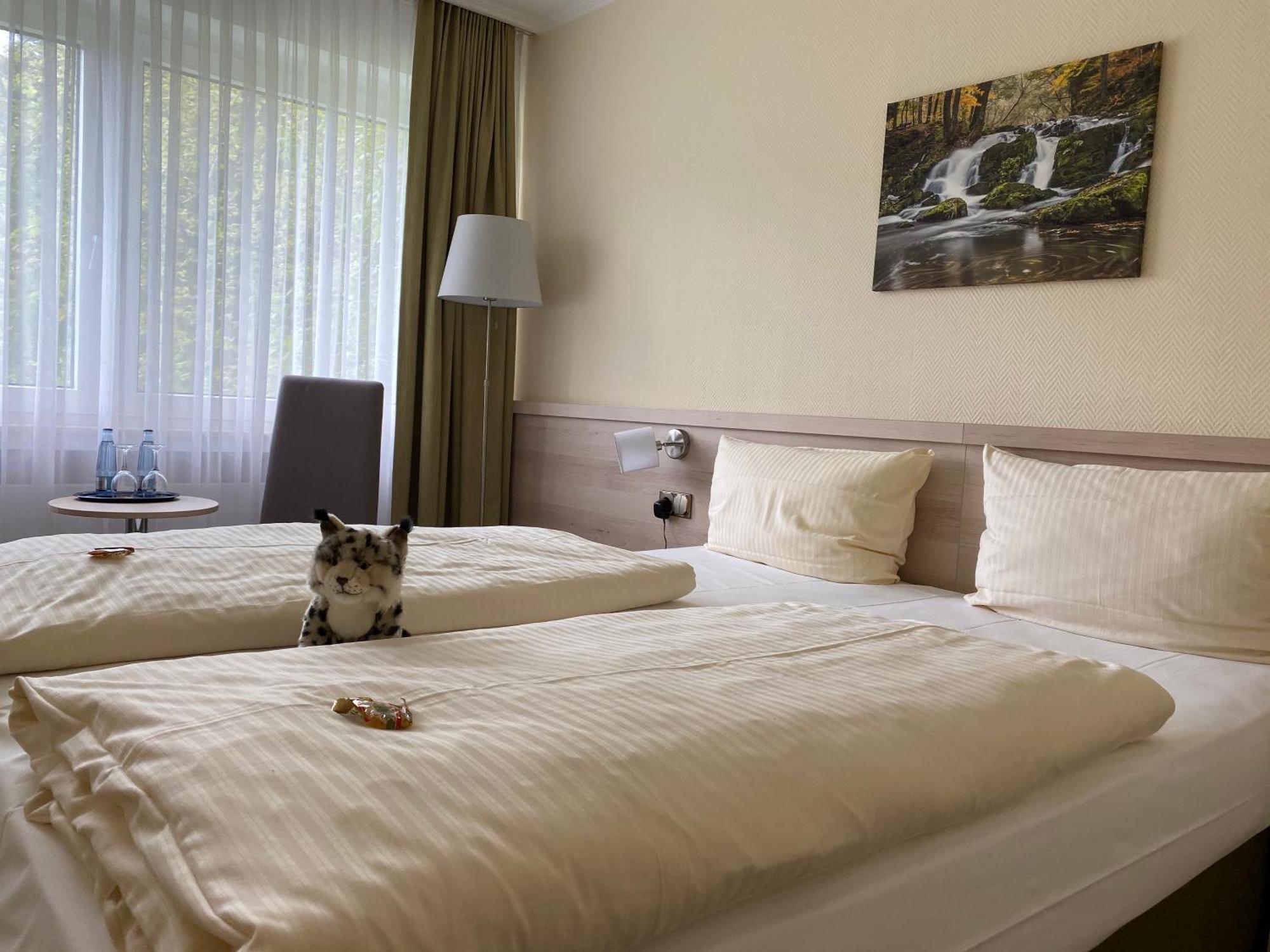 Parkhotel Bad Harzburg Exterior photo
